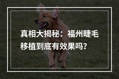 真相大揭秘：福州睫毛移植到底有效果吗？