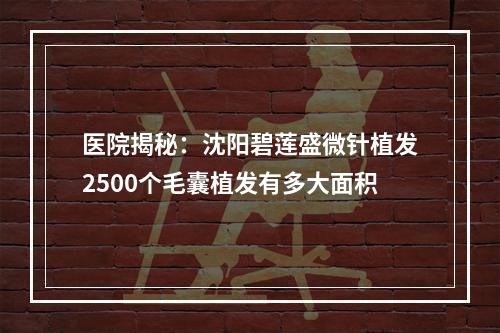 医院揭秘：沈阳碧莲盛微针植发2500个毛囊植发有多大面积