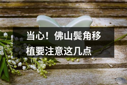 当心！佛山鬓角移植要注意这几点