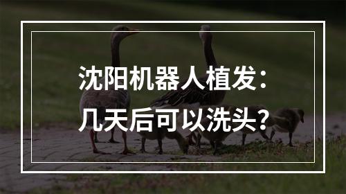 沈阳机器人植发：几天后可以洗头？