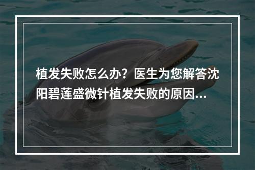 植发失败怎么办？医生为您解答沈阳碧莲盛微针植发失败的原因及应对方法