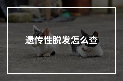 遗传性脱发怎么查