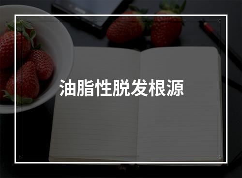 油脂性脱发根源