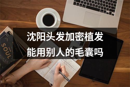 沈阳头发加密植发能用别人的毛囊吗