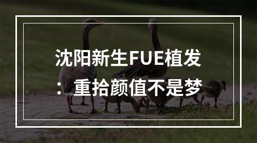 沈阳新生FUE植发：重拾颜值不是梦