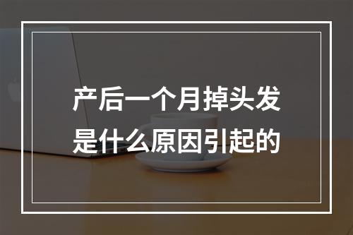 产后一个月掉头发是什么原因引起的