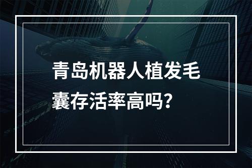 青岛机器人植发毛囊存活率高吗？