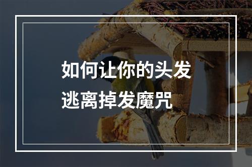 如何让你的头发逃离掉发魔咒