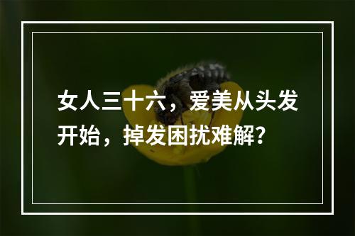 女人三十六，爱美从头发开始，掉发困扰难解？