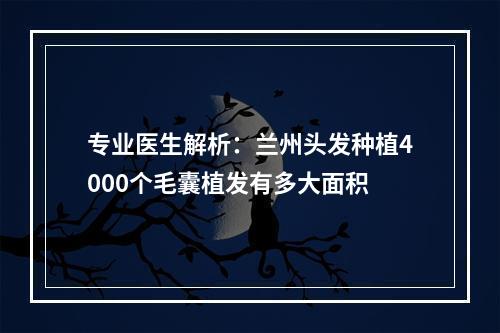 专业医生解析：兰州头发种植4000个毛囊植发有多大面积