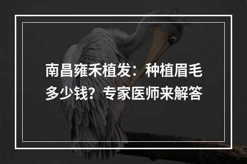 南昌雍禾植发：种植眉毛多少钱？专家医师来解答