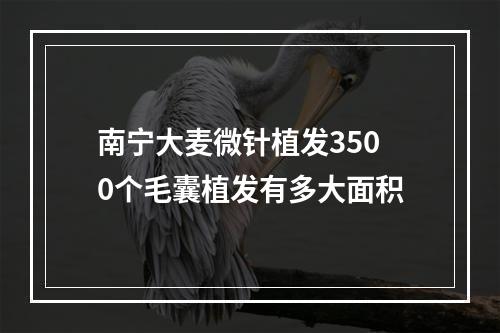 南宁大麦微针植发3500个毛囊植发有多大面积