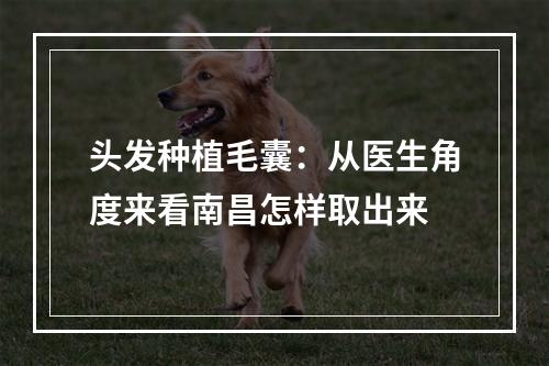 头发种植毛囊：从医生角度来看南昌怎样取出来