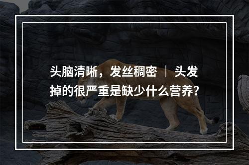 头脑清晰，发丝稠密 ｜ 头发掉的很严重是缺少什么营养？