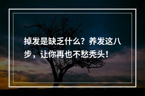 掉发是缺乏什么？养发这八步，让你再也不愁秃头！