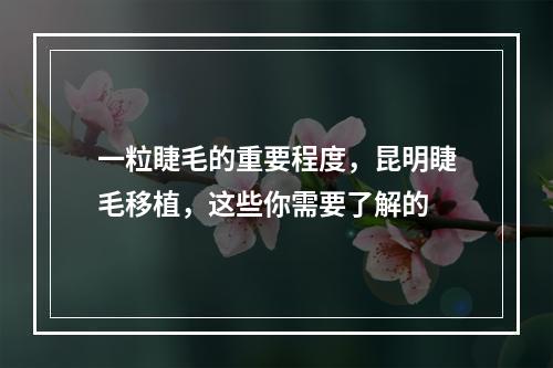 一粒睫毛的重要程度，昆明睫毛移植，这些你需要了解的