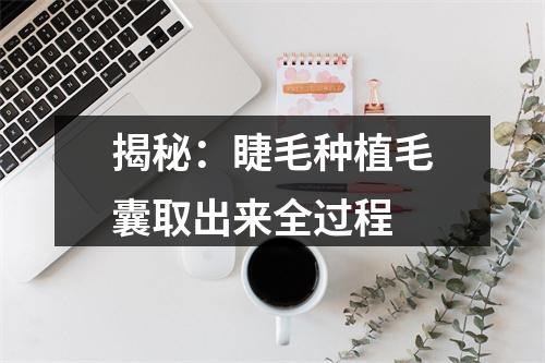 揭秘：睫毛种植毛囊取出来全过程