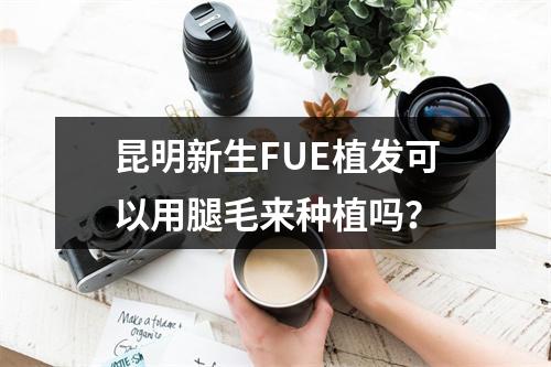 昆明新生FUE植发可以用腿毛来种植吗？