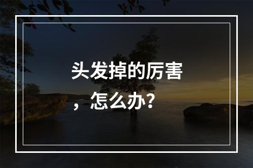 头发掉的厉害，怎么办？