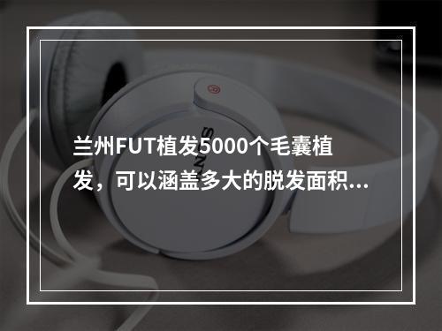 兰州FUT植发5000个毛囊植发，可以涵盖多大的脱发面积？