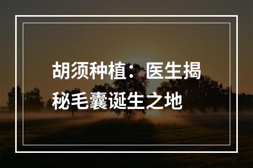 胡须种植：医生揭秘毛囊诞生之地