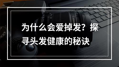 为什么会爱掉发？探寻头发健康的秘诀