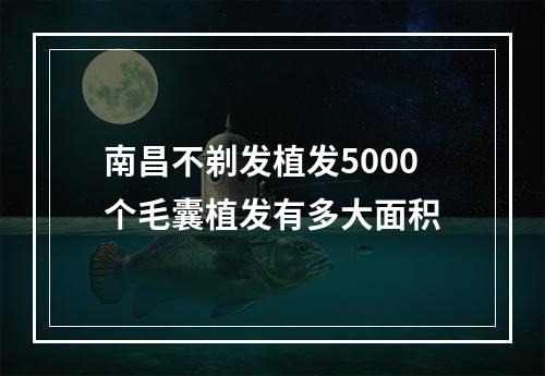 南昌不剃发植发5000个毛囊植发有多大面积