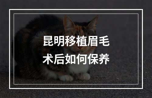 昆明移植眉毛术后如何保养