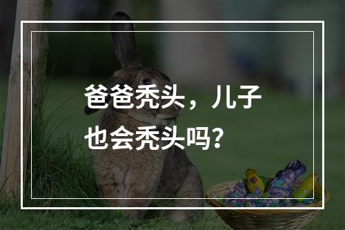 爸爸秃头，儿子也会秃头吗？