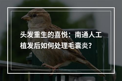 头发重生的喜悦：南通人工植发后如何处理毛囊炎？