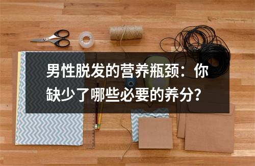 男性脱发的营养瓶颈：你缺少了哪些必要的养分？