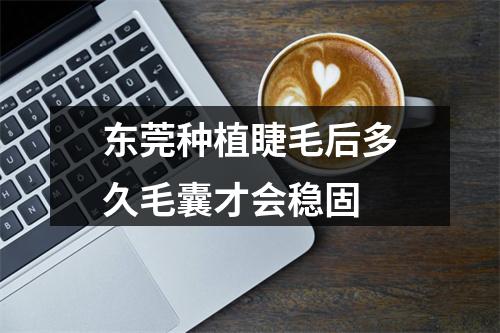 东莞种植睫毛后多久毛囊才会稳固