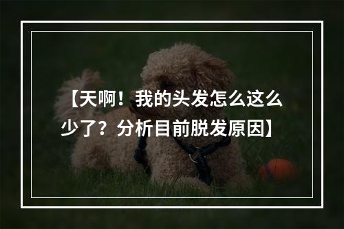 【天啊！我的头发怎么这么少了？分析目前脱发原因】