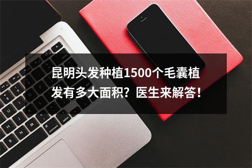 昆明头发种植1500个毛囊植发有多大面积？医生来解答！