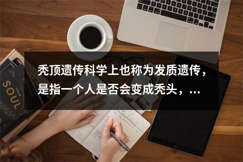 秃顶遗传科学上也称为发质遗传，是指一个人是否会变成秃头，受到了基因的影响，同时也受到了环境、精神状态等多种因素的影响。