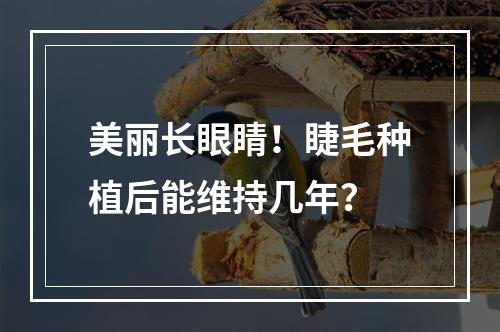 美丽长眼睛！睫毛种植后能维持几年？