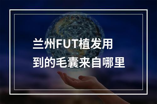 兰州FUT植发用到的毛囊来自哪里