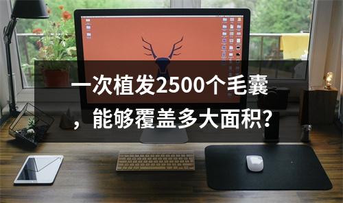 一次植发2500个毛囊，能够覆盖多大面积？