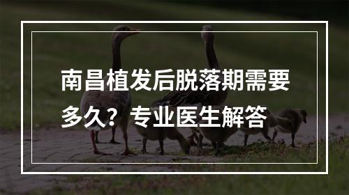 南昌植发后脱落期需要多久？专业医生解答