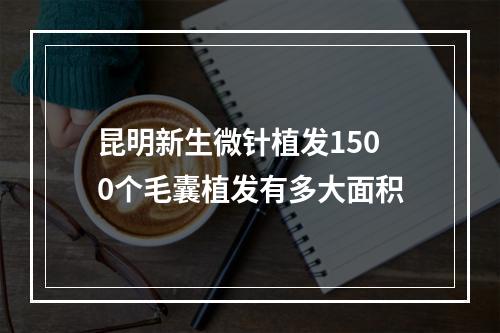 昆明新生微针植发1500个毛囊植发有多大面积