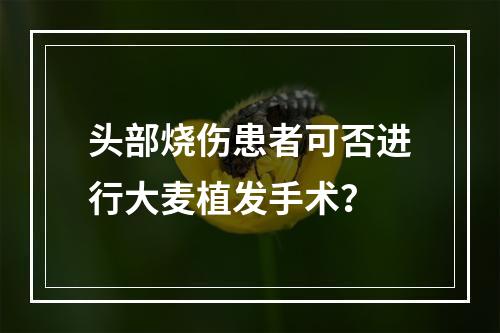 头部烧伤患者可否进行大麦植发手术？