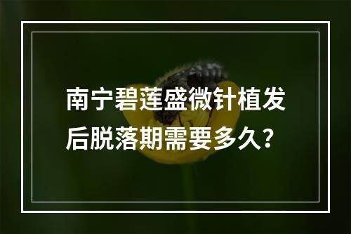 南宁碧莲盛微针植发后脱落期需要多久？