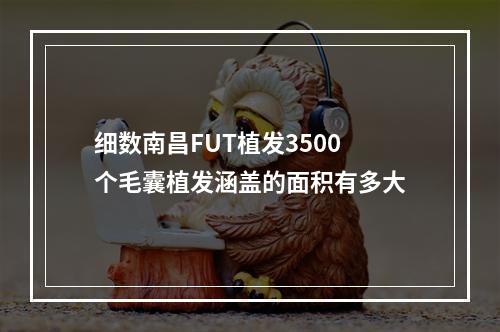 细数南昌FUT植发3500个毛囊植发涵盖的面积有多大