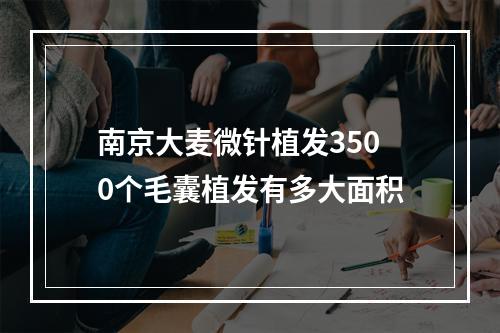 南京大麦微针植发3500个毛囊植发有多大面积