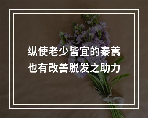 纵使老少皆宜的秦蒿也有改善脱发之助力