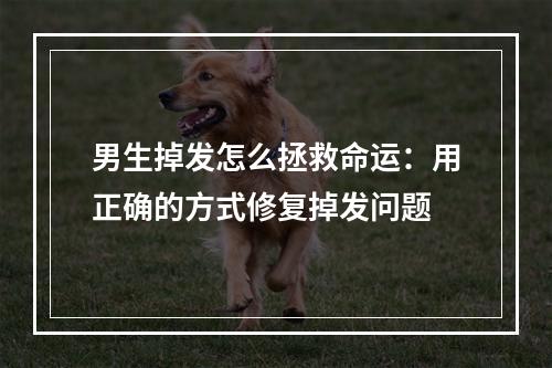 男生掉发怎么拯救命运：用正确的方式修复掉发问题