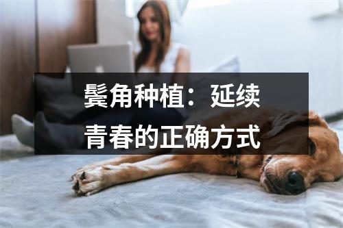 鬓角种植：延续青春的正确方式