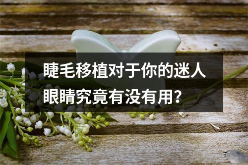 睫毛移植对于你的迷人眼睛究竟有没有用？