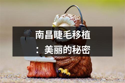 南昌睫毛移植：美丽的秘密