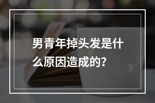 男青年掉头发是什么原因造成的？